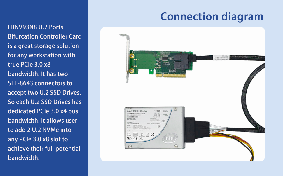 2 Port PCIe 3.0 x8 to U.2 NVMe SFF-8643 Adapter Card - XIC PE383